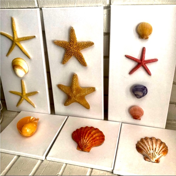 NWT! Natural 8” Starfish Seashell Canvas Wall Art - Picture 6 of 8